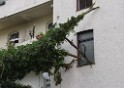 Einsatz BF Baum umgestuerzt Koeln Kalk Eythstr P12